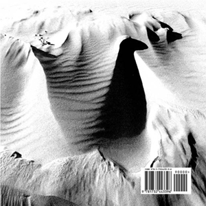 duck Back Cover