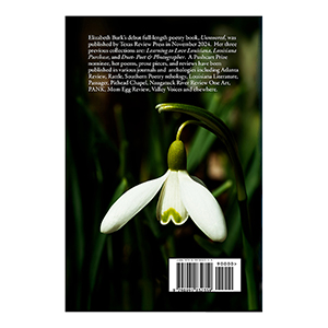 Learning to Love Louisiana - Back Cover