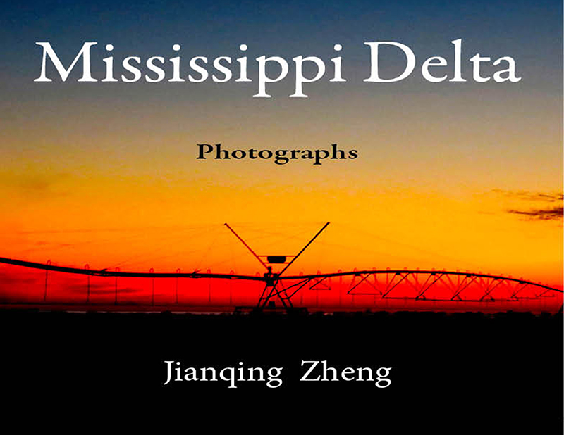 Mississippi Delta Front Cover